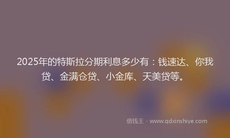 2025年的特斯拉分期利息多少有：钱速达、你我贷、金满仓贷、小金库、天美贷等。