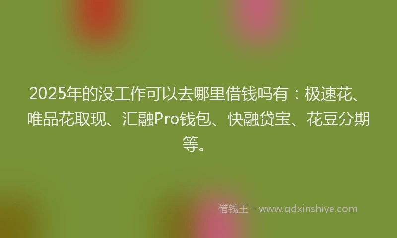 2025年的没工作可以去哪里借钱吗有：极速花、唯品花取现、汇融Pro钱包、快融贷宝、花豆分期等。