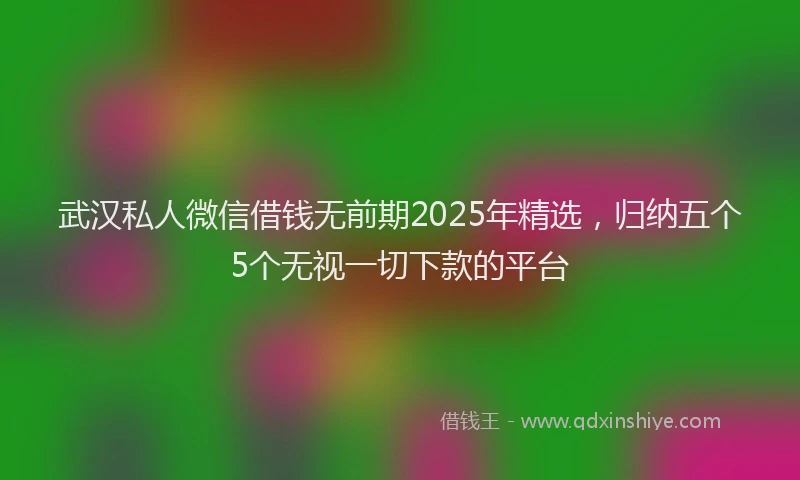 武汉私人微信借钱无前期2025年精选，归纳五个5个无视一切下款的平台