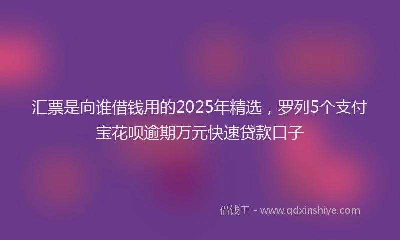 汇票是向谁借钱用的2025年精选，罗列5个支付宝花呗逾期万元快速贷款口子