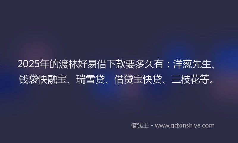 2025年的渡林好易借下款要多久有：洋葱先生、钱袋快融宝、瑞雪贷、借贷宝快贷、三枝花等。