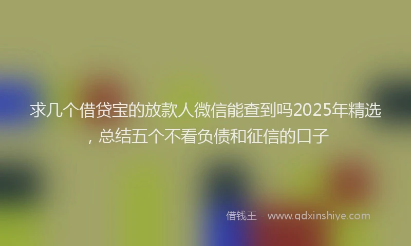 求几个借贷宝的放款人微信能查到吗2025年精选，总结五个不看负债和征信的口子