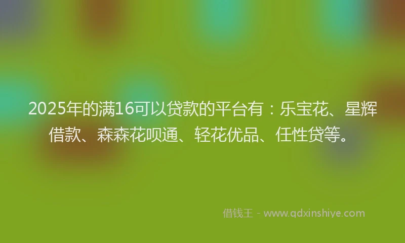 2025年的满16可以贷款的平台有：乐宝花、星辉借款、森森花呗通、轻花优品、任性贷等。