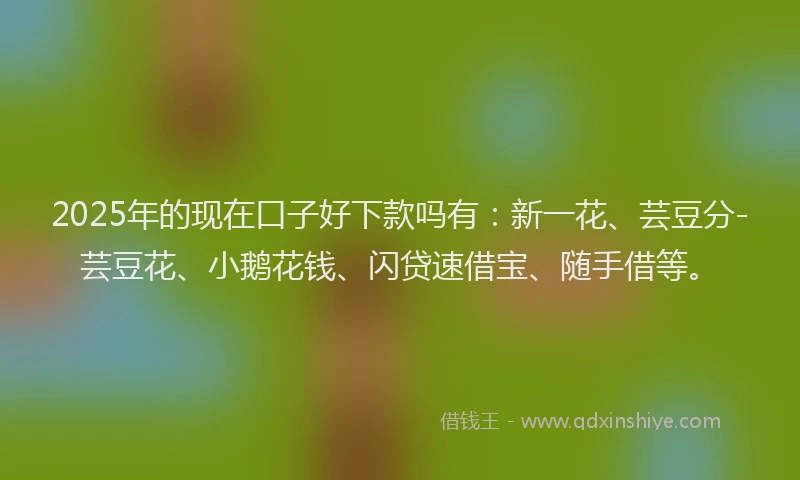 2025年的现在口子好下款吗有：新一花、芸豆分-芸豆花、小鹅花钱、闪贷速借宝、随手借等。