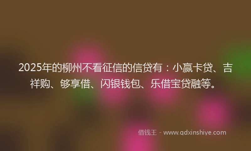 2025年的柳州不看征信的信贷有：小赢卡贷、吉祥购、够享借、闪银钱包、乐借宝贷融等。