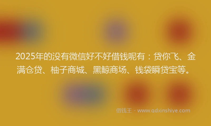 2025年的没有微信好不好借钱呢有：贷你飞、金满仓贷、柚子商城、黑鲸商场、钱袋瞬贷宝等。