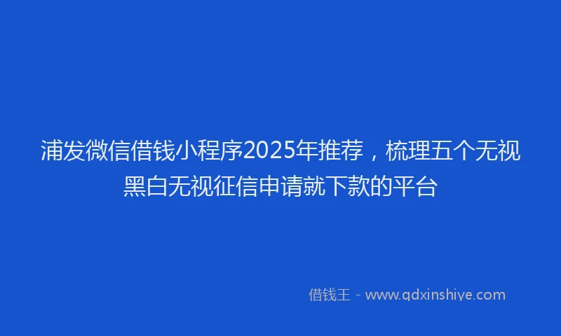 浦发微信借钱小程序2025年推荐，梳理五个无视黑白无视征信申请就下款的平台