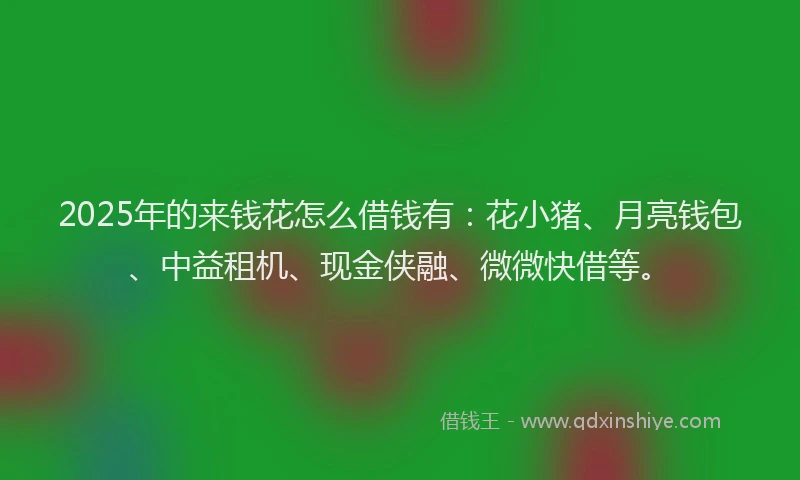 2025年的来钱花怎么借钱有：花小猪、月亮钱包、中益租机、现金侠融、微微快借等。