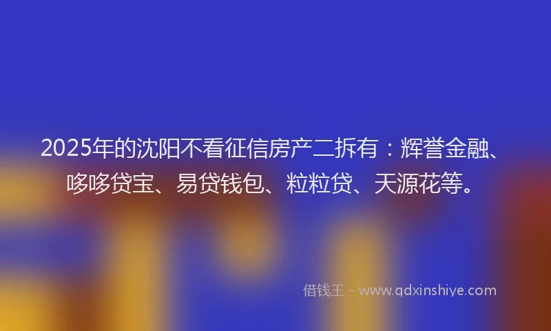 2025年的沈阳不看征信房产二拆有：辉誉金融、哆哆贷宝、易贷钱包、粒粒贷、天源花等。