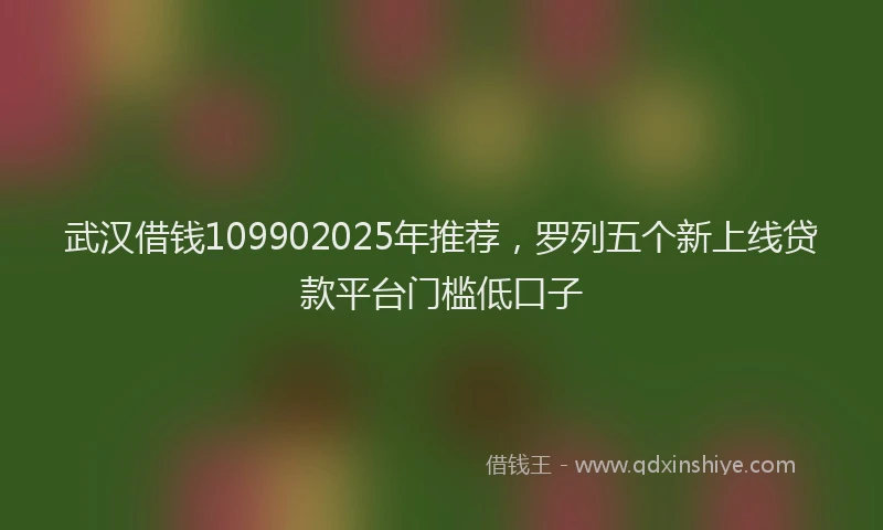 武汉借钱109902025年推荐，罗列五个新上线贷款平台门槛低口子