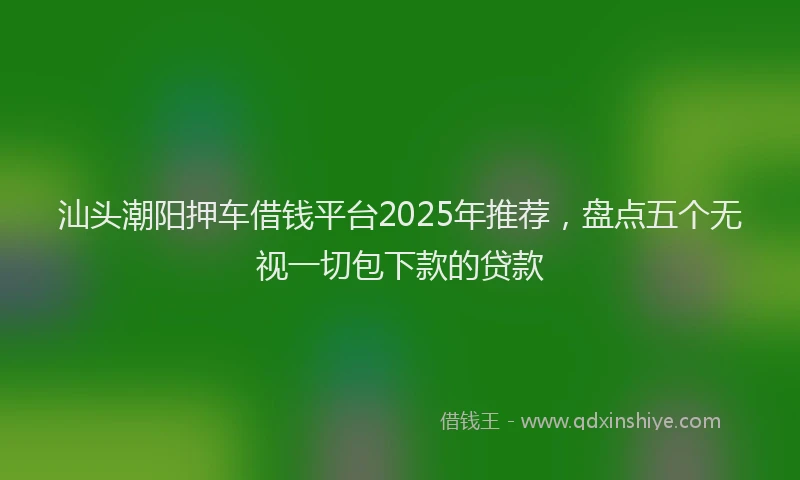 汕头潮阳押车借钱平台2025年推荐，盘点五个无视一切包下款的贷款