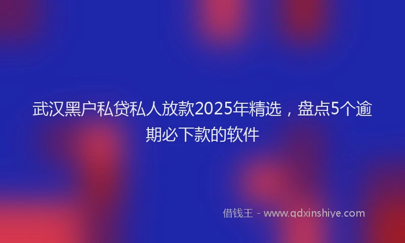 武汉黑户私贷私人放款2025年精选，盘点5个逾期必下款的软件