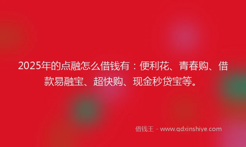 2025年的点融怎么借钱有：便利花、青春购、借款易融宝、超快购、现金秒贷宝等。
