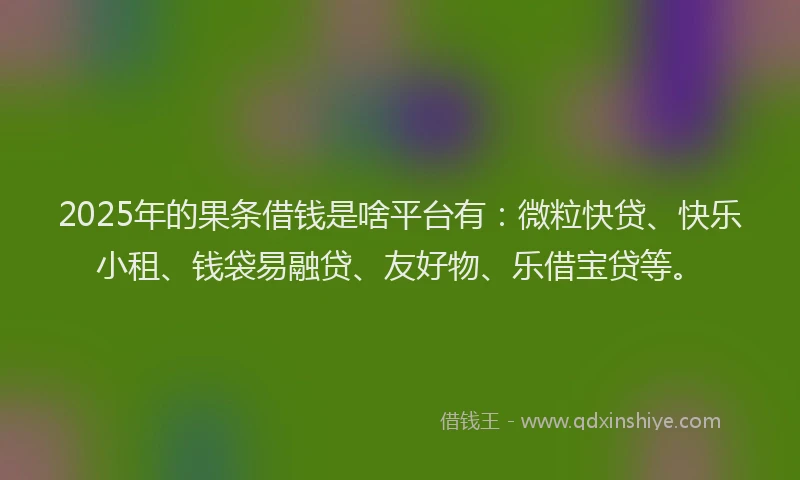 2025年的果条借钱是啥平台有：微粒快贷、快乐小租、钱袋易融贷、友好物、乐借宝贷等。
