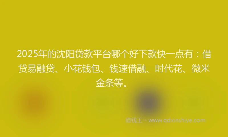 2025年的沈阳贷款平台哪个好下款快一点有：借贷易融贷、小花钱包、钱速借融、时代花、微米金条等。