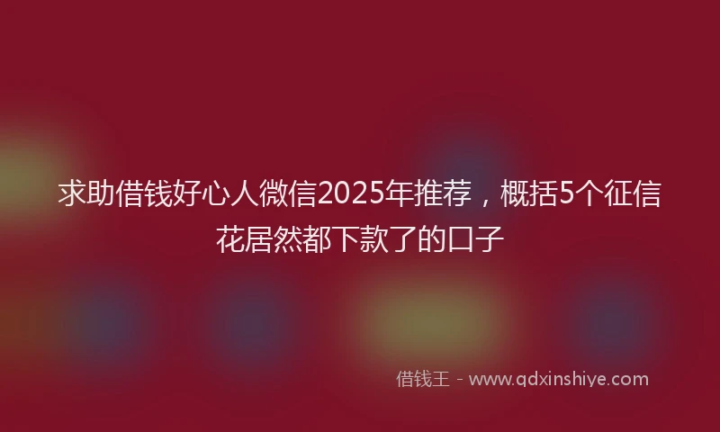 求助借钱好心人微信2025年推荐，概括5个征信花居然都下款了的口子