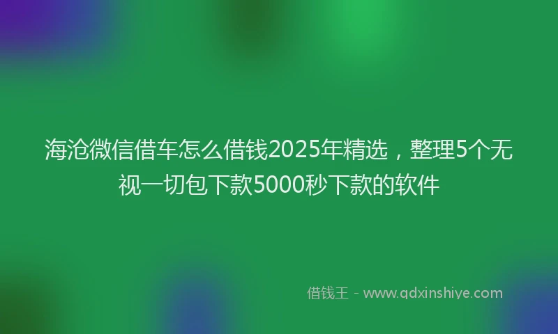 海沧微信借车怎么借钱2025年精选，整理5个无视一切包下款5000秒下款的软件
