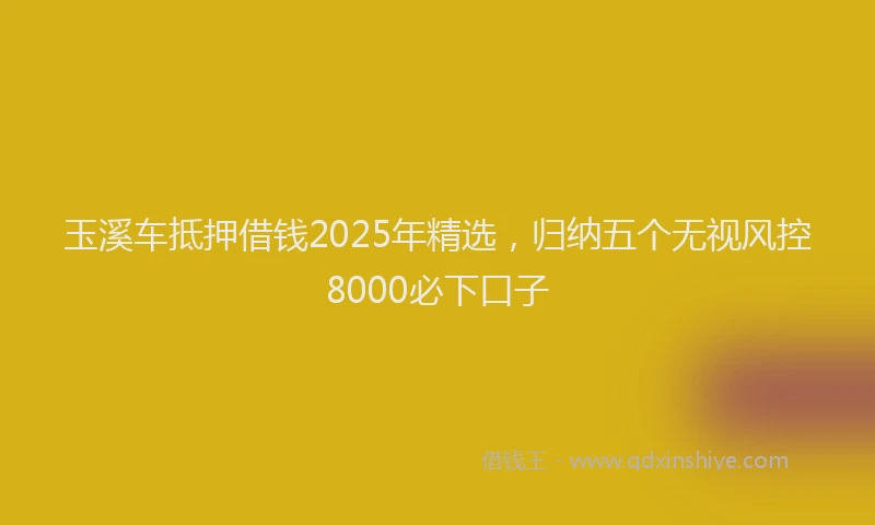 玉溪车抵押借钱2025年精选，归纳五个无视风控8000必下口子