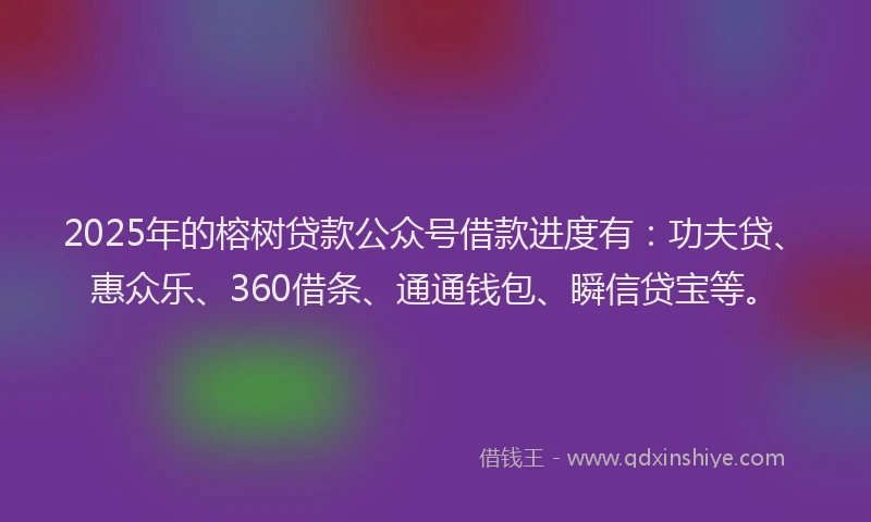 2025年的榕树贷款公众号借款进度有：功夫贷、惠众乐、360借条、通通钱包、瞬信贷宝等。