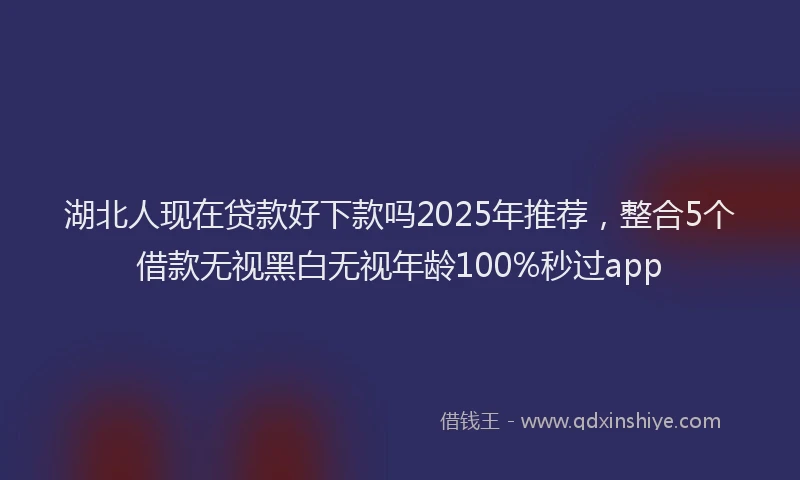 湖北人现在贷款好下款吗2025年推荐，整合5个借款无视黑白无视年龄100%秒过app