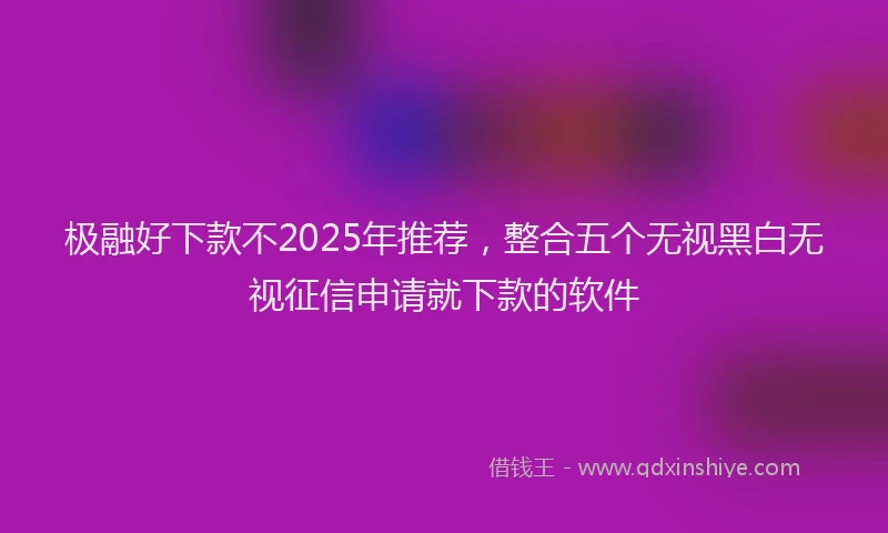 极融好下款不2025年推荐，整合五个无视黑白无视征信申请就下款的软件