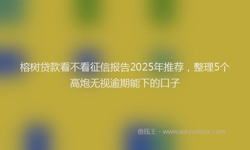 榕树贷款看不看征信报告2025年推荐，整理5个高炮无视逾期能下的口子