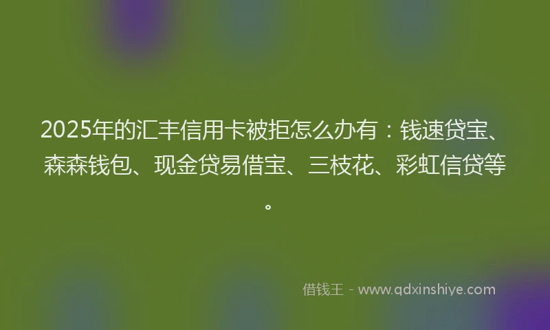 2025年的汇丰信用卡被拒怎么办有：钱速贷宝、森森钱包、现金贷易借宝、三枝花、彩虹信贷等。