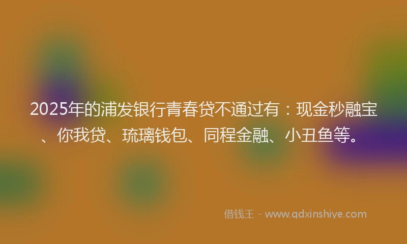 2025年的浦发银行青春贷不通过有：现金秒融宝、你我贷、琉璃钱包、同程金融、小丑鱼等。
