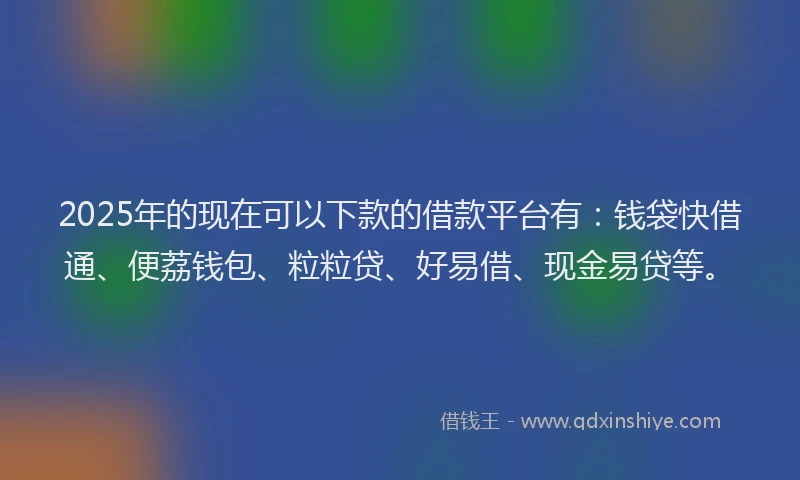 2025年的现在可以下款的借款平台有：钱袋快借通、便荔钱包、粒粒贷、好易借、现金易贷等。