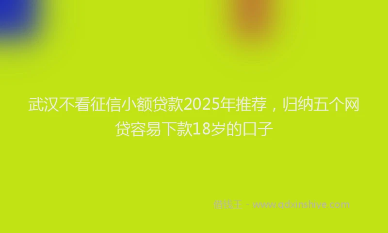 武汉不看征信小额贷款2025年推荐，归纳五个网贷容易下款18岁的口子
