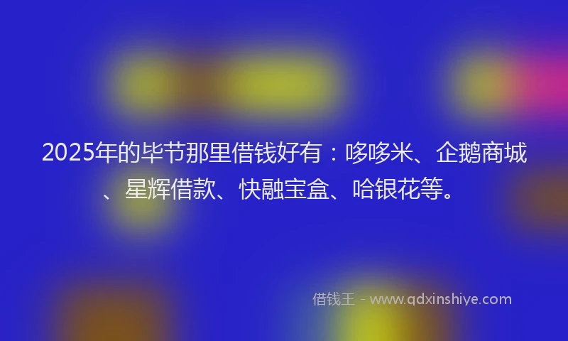 2025年的毕节那里借钱好有：哆哆米、企鹅商城、星辉借款、快融宝盒、哈银花等。
