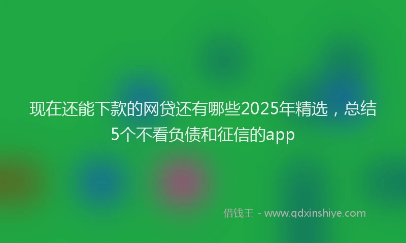 现在还能下款的网贷还有哪些2025年精选，总结5个不看负债和征信的app