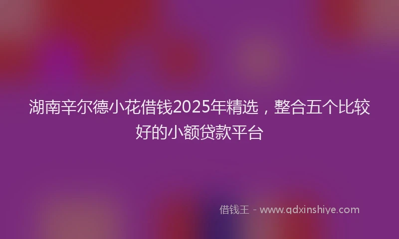 湖南辛尔德小花借钱2025年精选，整合五个比较好的小额贷款平台