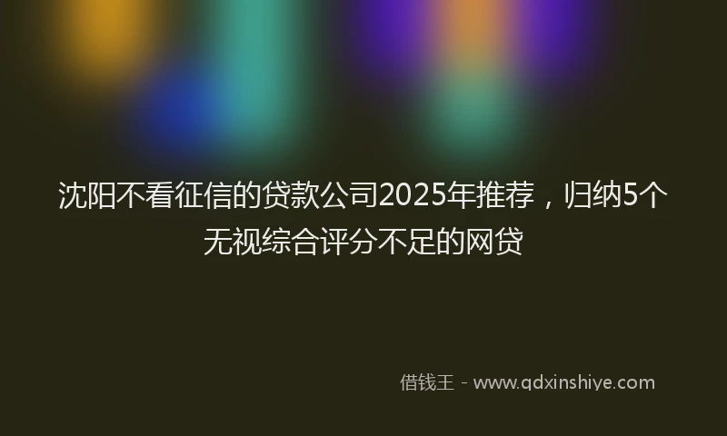 沈阳不看征信的贷款公司2025年推荐，归纳5个无视综合评分不足的网贷