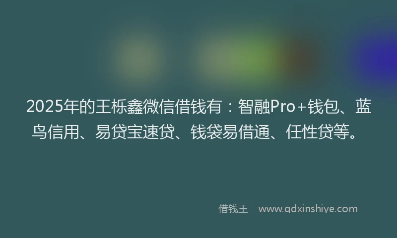 2025年的王栎鑫微信借钱有：智融Pro+钱包、蓝鸟信用、易贷宝速贷、钱袋易借通、任性贷等。