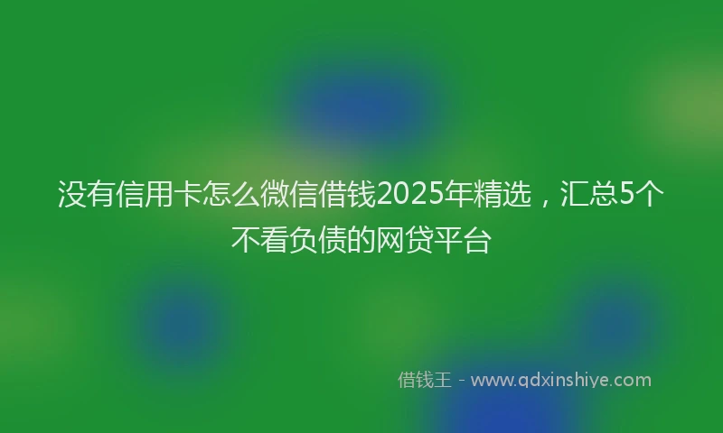 没有信用卡怎么微信借钱2025年精选，汇总5个不看负债的网贷平台