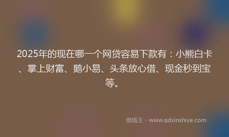 2025年的现在哪一个网贷容易下款有：小熊白卡、掌上财富、鹅小易、头条放心借、现金秒到宝等。