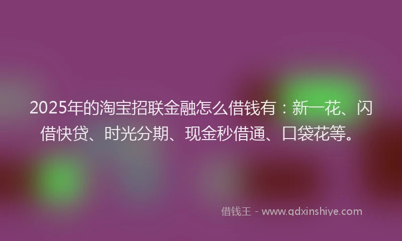 2025年的淘宝招联金融怎么借钱有：新一花、闪借快贷、时光分期、现金秒借通、口袋花等。