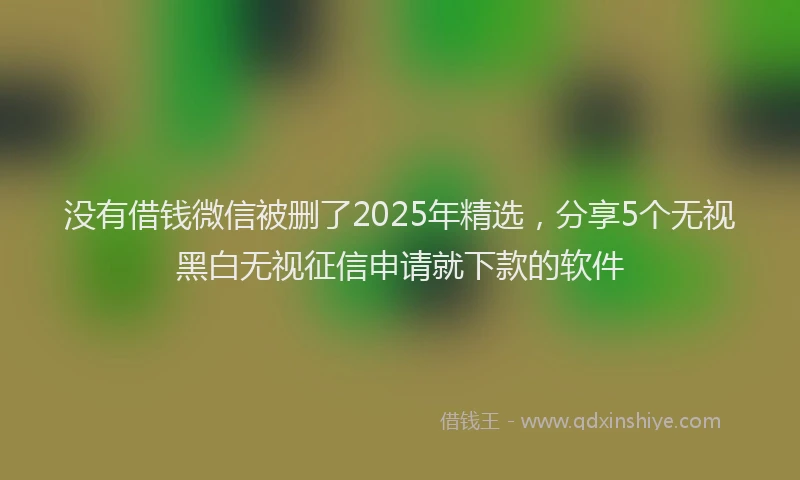 没有借钱微信被删了2025年精选，分享5个无视黑白无视征信申请就下款的软件