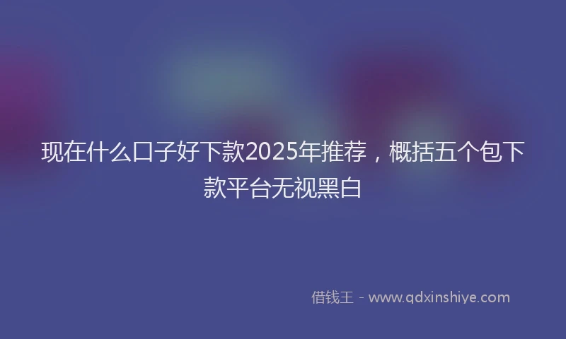 现在什么口子好下款2025年推荐，概括五个包下款平台无视黑白