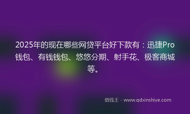2025年的现在哪些网贷平台好下款有：迅捷Pro钱包、有钱钱包、悠悠分期、射手花、极客商城等。