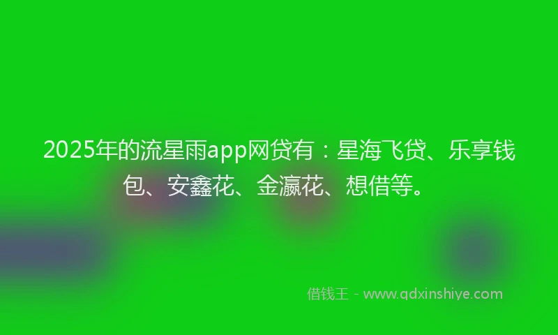 2025年的流星雨app网贷有：星海飞贷、乐享钱包、安鑫花、金瀛花、想借等。