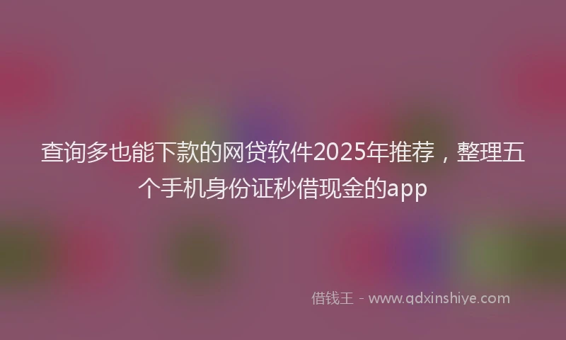 查询多也能下款的网贷软件2025年推荐，整理五个手机身份证秒借现金的app