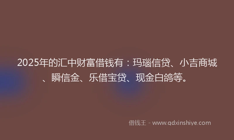 2025年的汇中财富借钱有：玛瑙信贷、小吉商城、瞬信金、乐借宝贷、现金白鸽等。