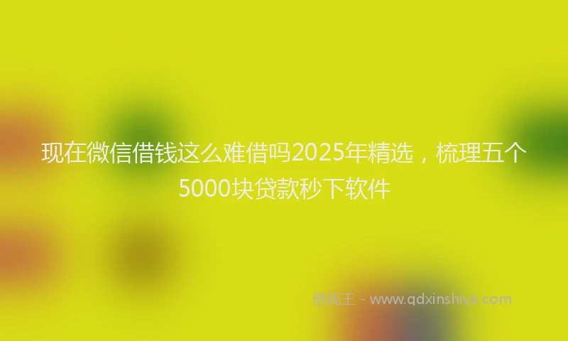 现在微信借钱这么难借吗2025年精选，梳理五个5000块贷款秒下软件