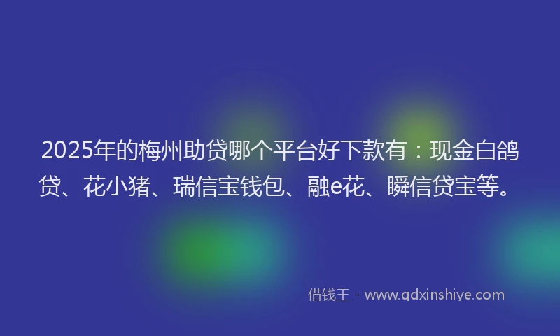 2025年的梅州助贷哪个平台好下款有：现金白鸽贷、花小猪、瑞信宝钱包、融e花、瞬信贷宝等。