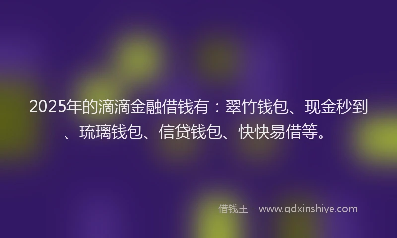 2025年的滴滴金融借钱有：翠竹钱包、现金秒到、琉璃钱包、信贷钱包、快快易借等。