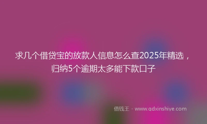 求几个借贷宝的放款人信息怎么查2025年精选，归纳5个逾期太多能下款口子