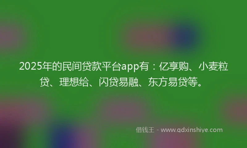 2025年的民间贷款平台app有：亿享购、小麦粒贷、理想给、闪贷易融、东方易贷等。