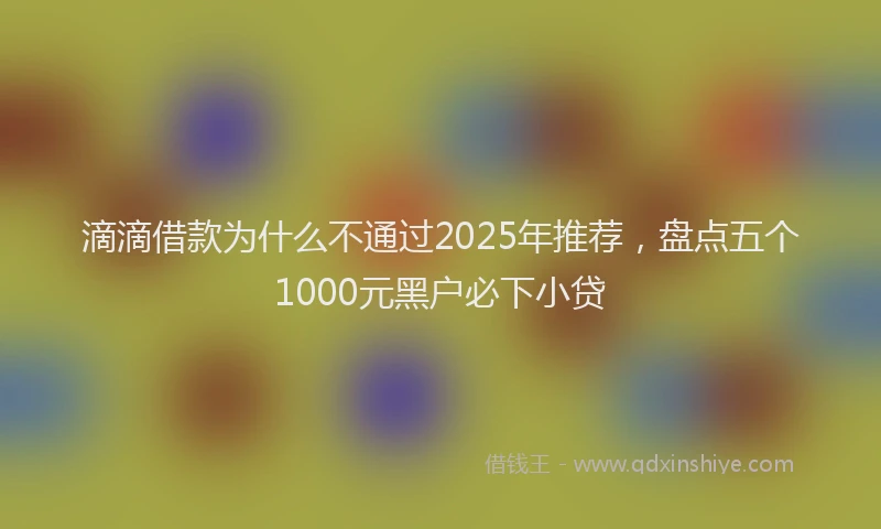 滴滴借款为什么不通过2025年推荐，盘点五个1000元黑户必下小贷